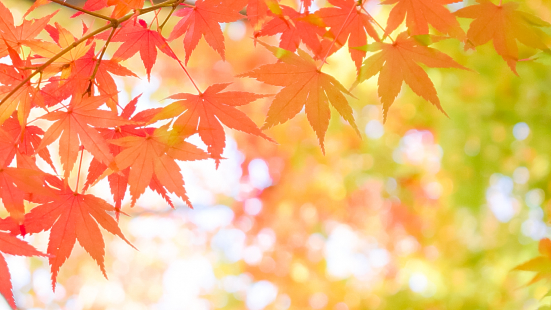 10月アイキャッチ