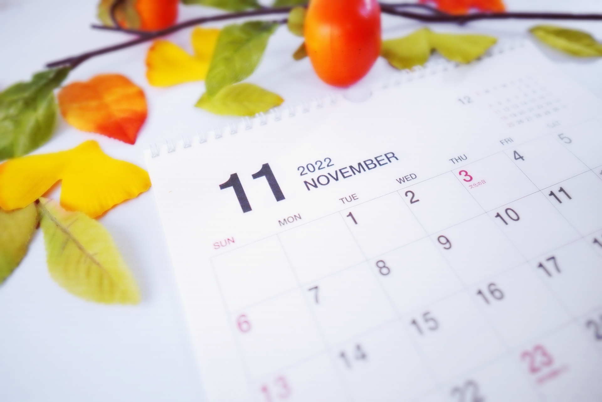 11月